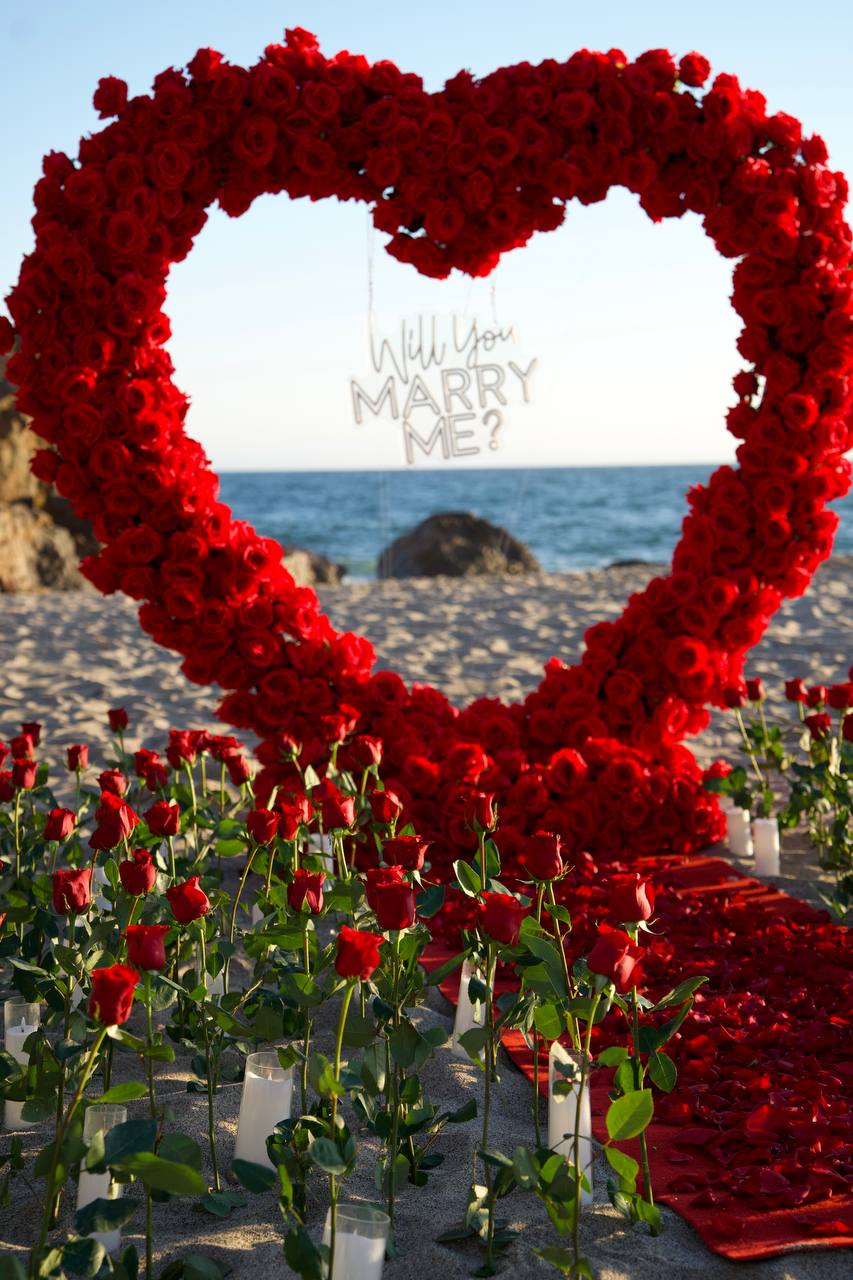 Proposal idea