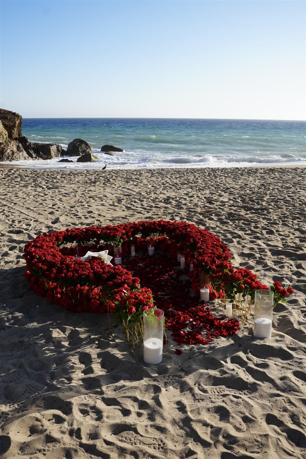 Portrait view of a red 800 rose heart on the beach