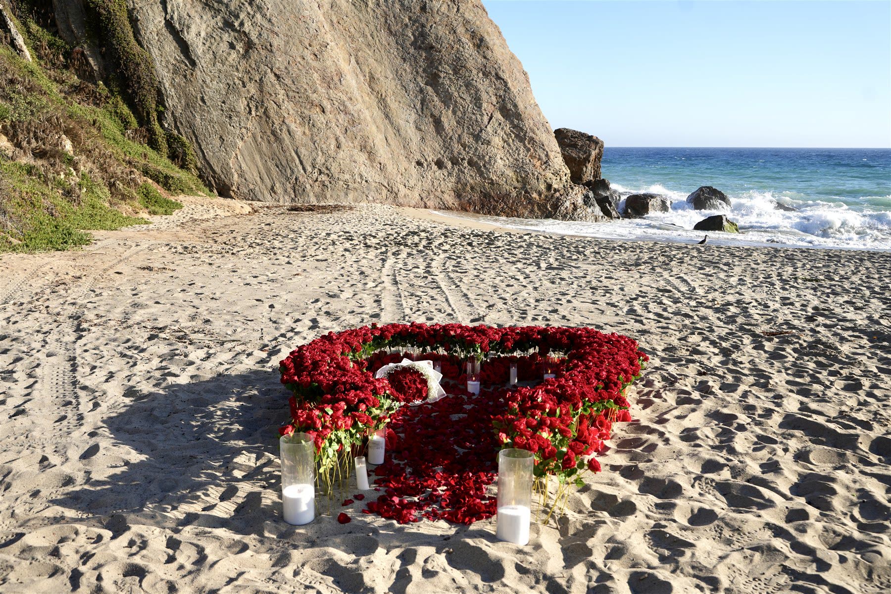 Wide view of the full red ground rose setup