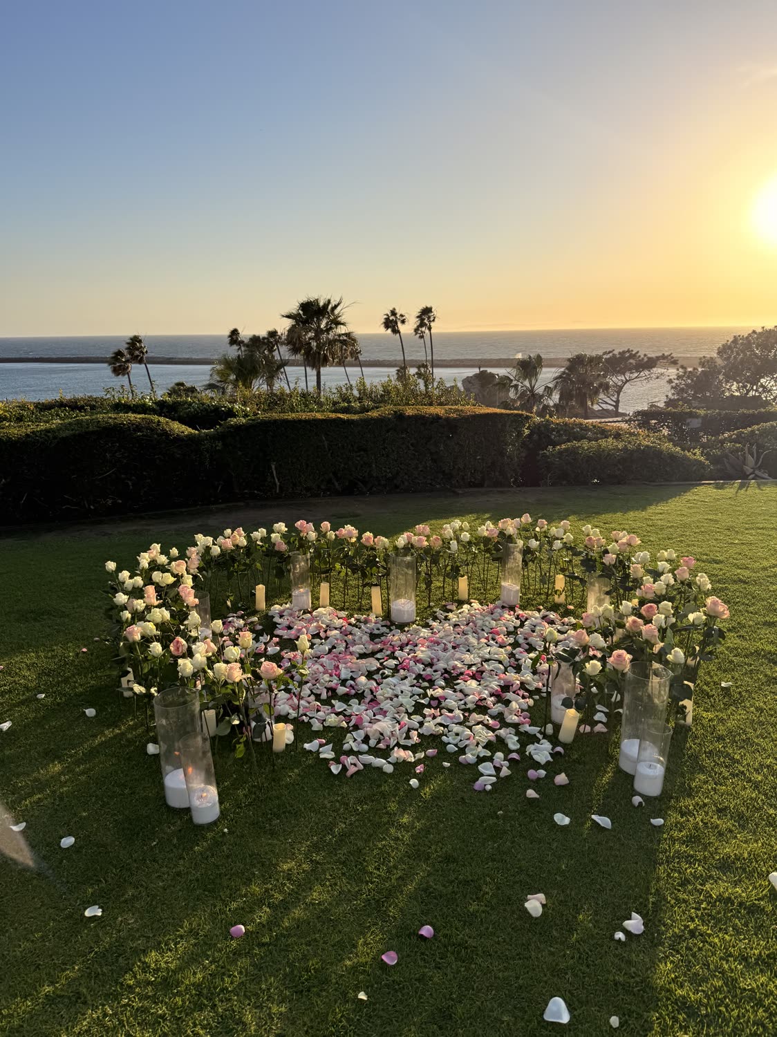 Ground Rose Heart Setup