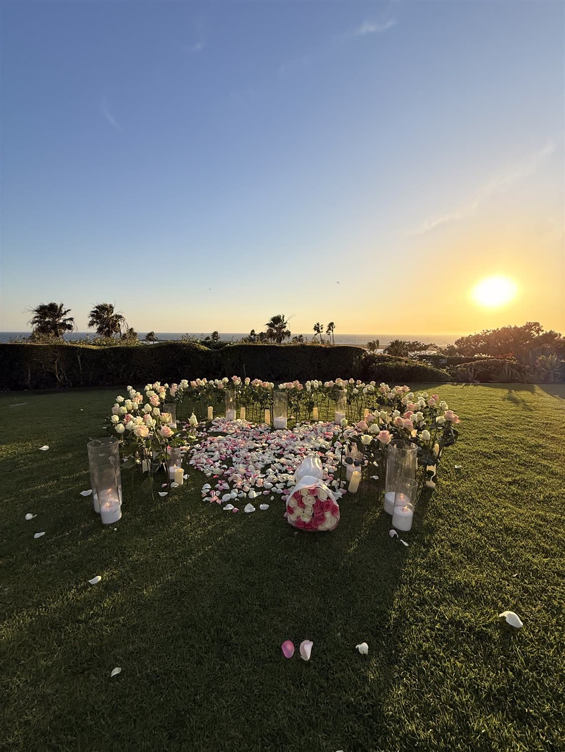 Close view of a fresh real rose ground heart and candles